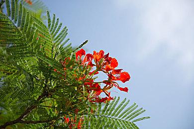 国产恐怖游戏《黑暗世界：因与果》新预告 3月27日发售